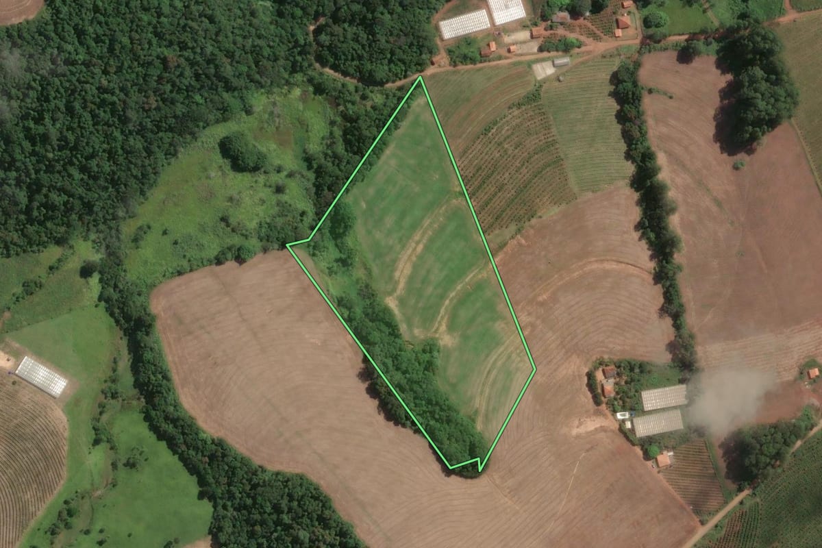 Imagem de satélite do imóvel rural em Tomazina (PR), com o contorno declarado no CAR desenhado por cima.