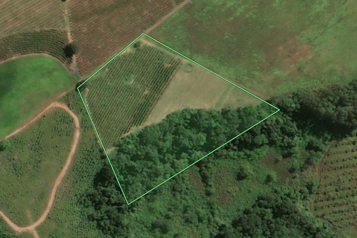 Imagem de satélite do imóvel rural em Tomazina (PR), com o contorno declarado no CAR desenhado por cima.