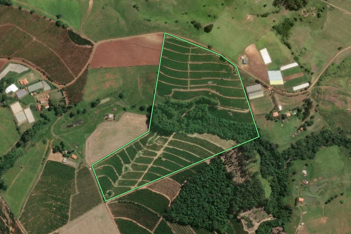 Imagem de satélite do imóvel rural em Tomazina (PR), com o contorno declarado no CAR desenhado por cima.
