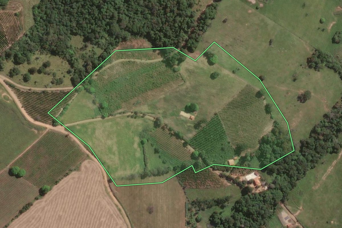 Imagem de satélite do imóvel rural em Tomazina (PR), com o contorno declarado no CAR desenhado por cima.