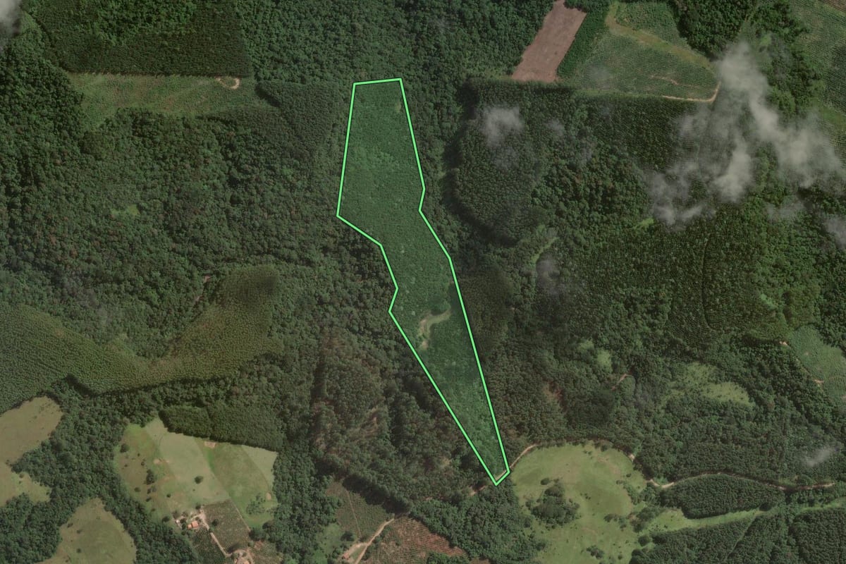 Imagem de satélite do imóvel rural em Tomazina (PR), com o contorno declarado no CAR desenhado por cima.