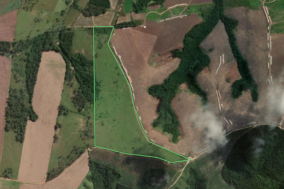 Imagem de satélite do imóvel rural em Tomazina (PR), com o contorno declarado no CAR desenhado por cima.