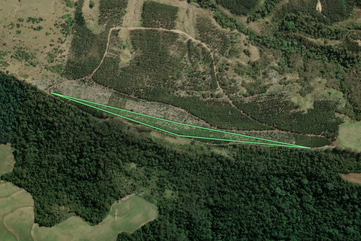 Imagem de satélite do imóvel rural em Tomazina (PR), com o contorno declarado no CAR desenhado por cima.
