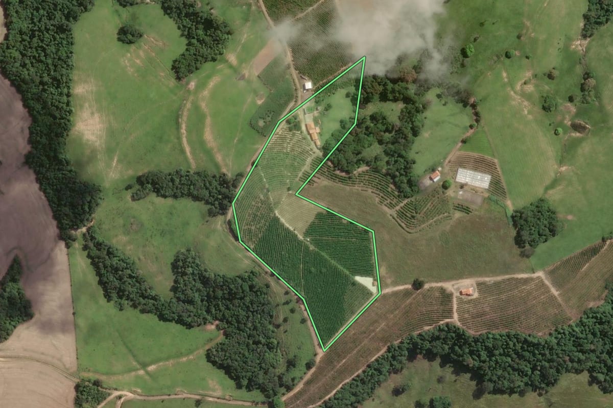 Imagem de satélite do imóvel rural em Tomazina (PR), com o contorno declarado no CAR desenhado por cima.