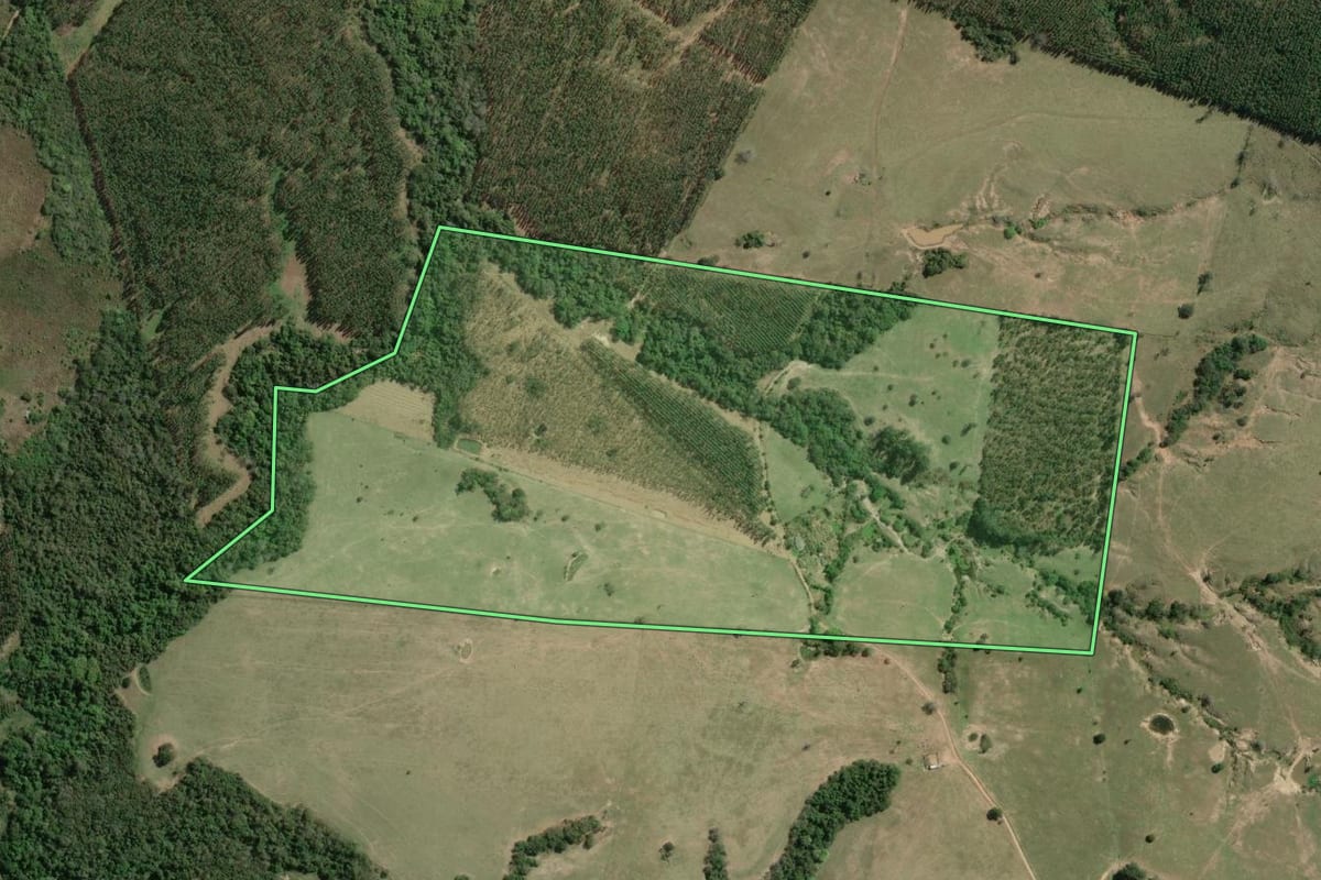 Imagem de satélite do imóvel rural em Tomazina (PR), com o contorno declarado no CAR desenhado por cima.