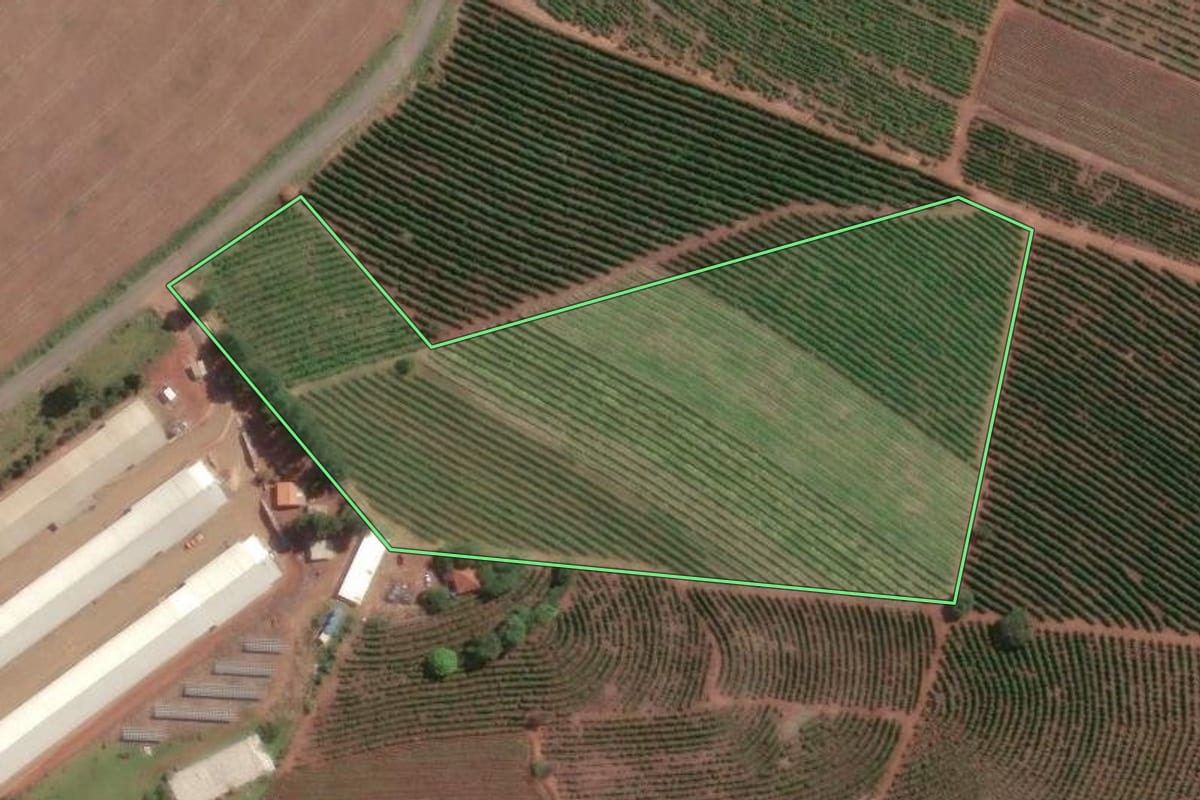 Imagem de satélite do imóvel rural em Tomazina (PR), com o contorno declarado no CAR desenhado por cima.