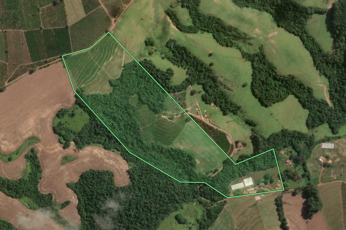 Imagem de satélite do imóvel rural em Tomazina (PR), com o contorno declarado no CAR desenhado por cima.