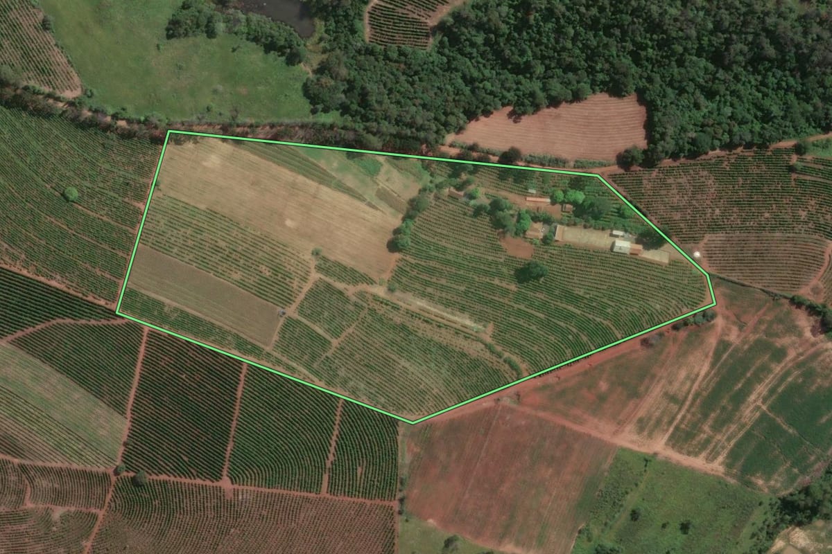 Imagem de satélite do imóvel rural em Tomazina (PR), com o contorno declarado no CAR desenhado por cima.
