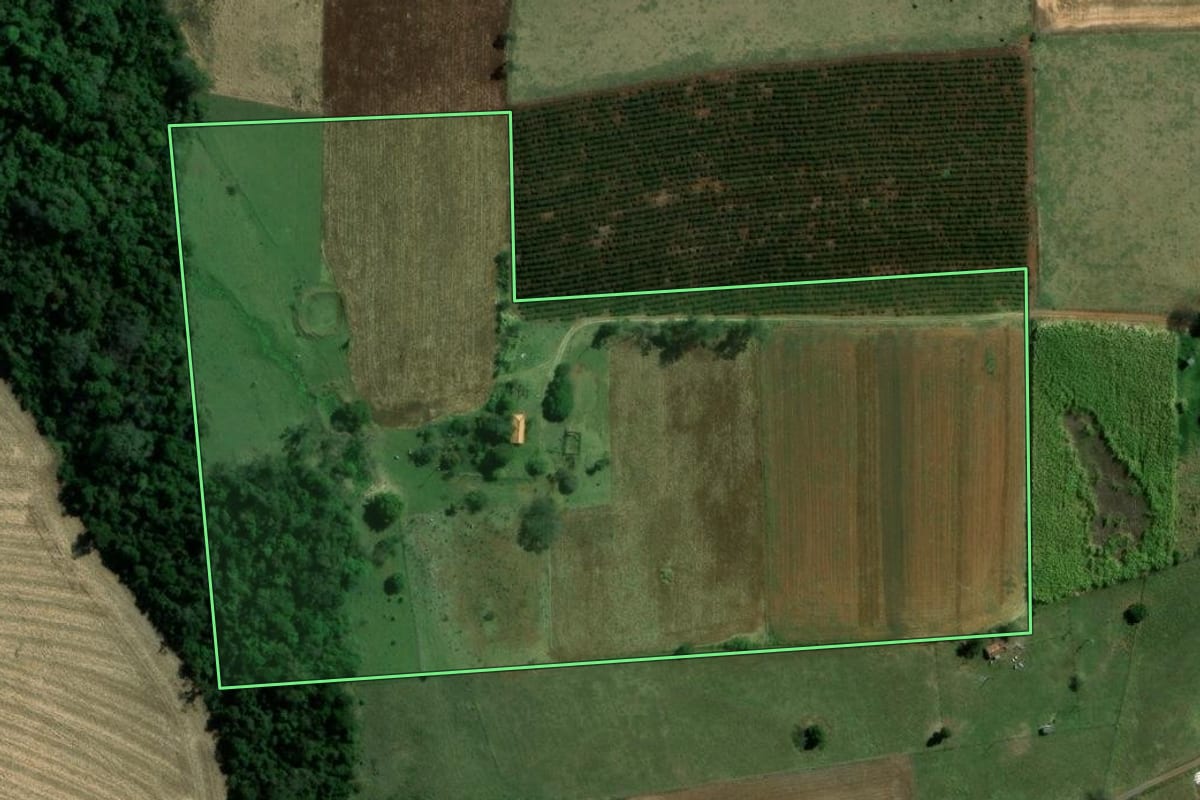 Imagem de satélite do imóvel rural em Tomazina (PR), com o contorno declarado no CAR desenhado por cima.