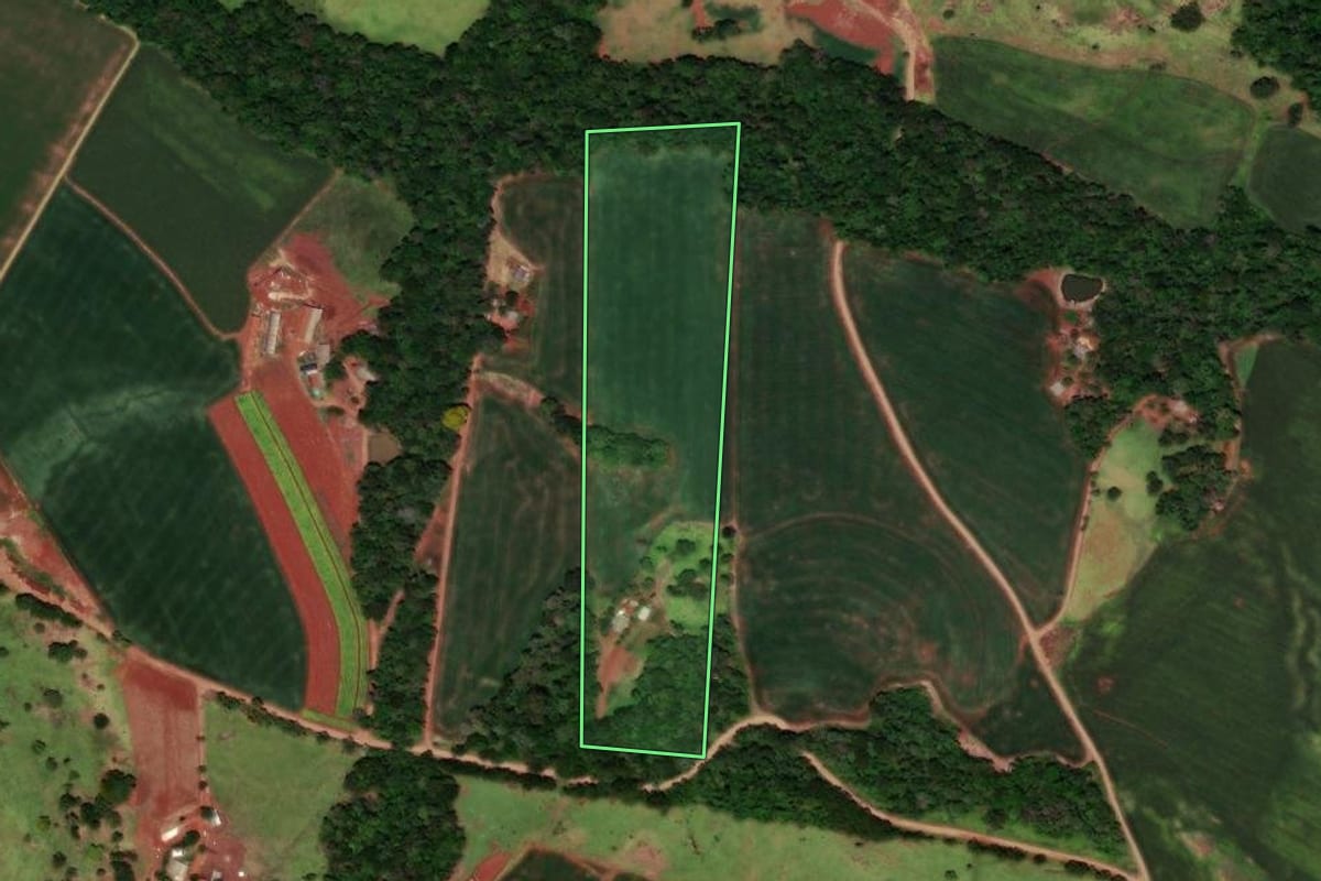 Imagem de satélite do imóvel rural em Três Barras do Paraná (PR), com o contorno declarado no CAR desenhado por cima.