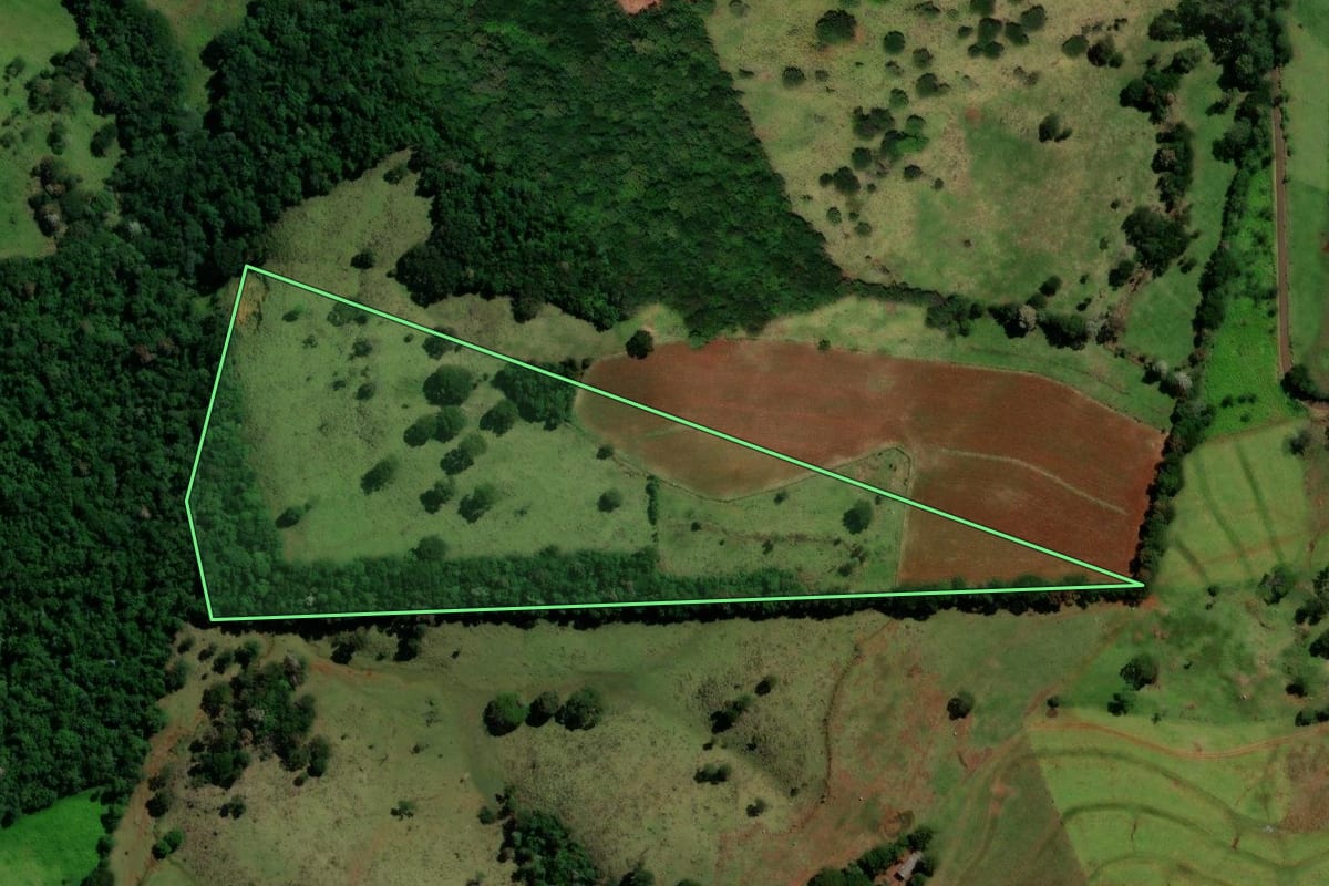 Imagem de satélite do imóvel rural em Três Barras do Paraná (PR), com o contorno declarado no CAR desenhado por cima.