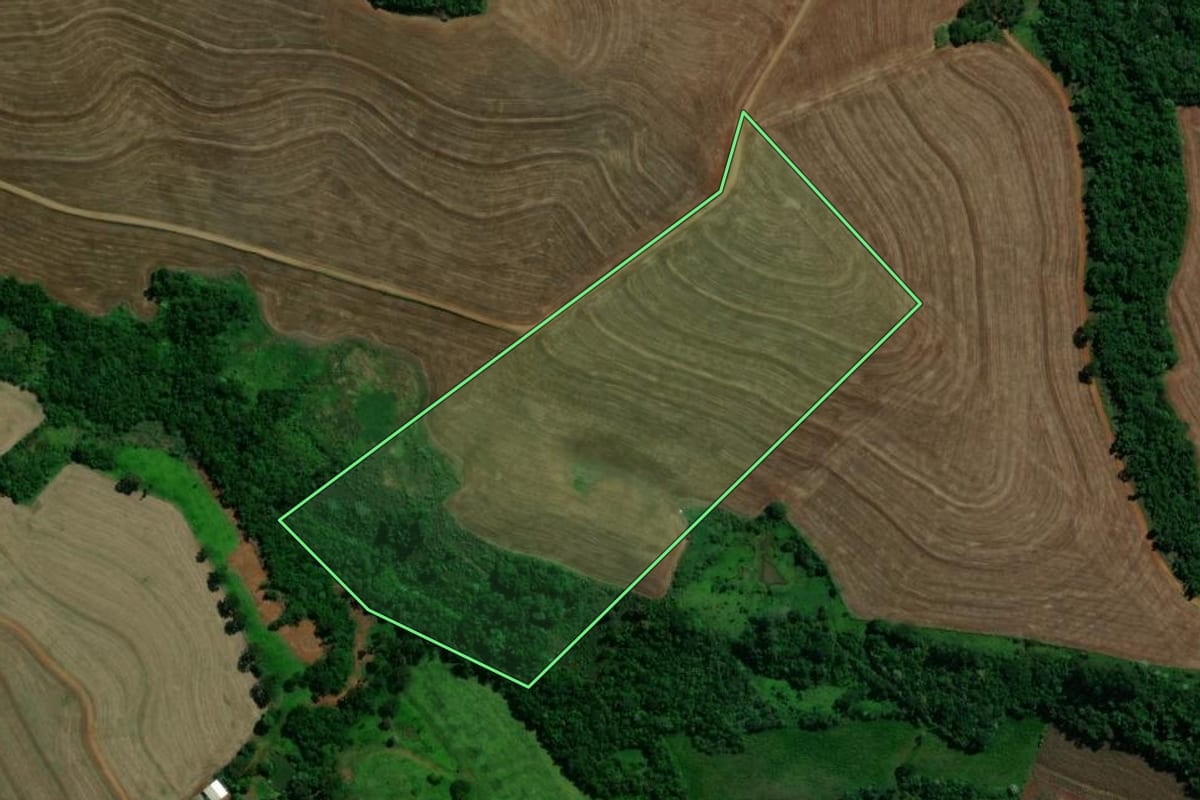Imagem de satélite do imóvel rural em Três Barras do Paraná (PR), com o contorno declarado no CAR desenhado por cima.