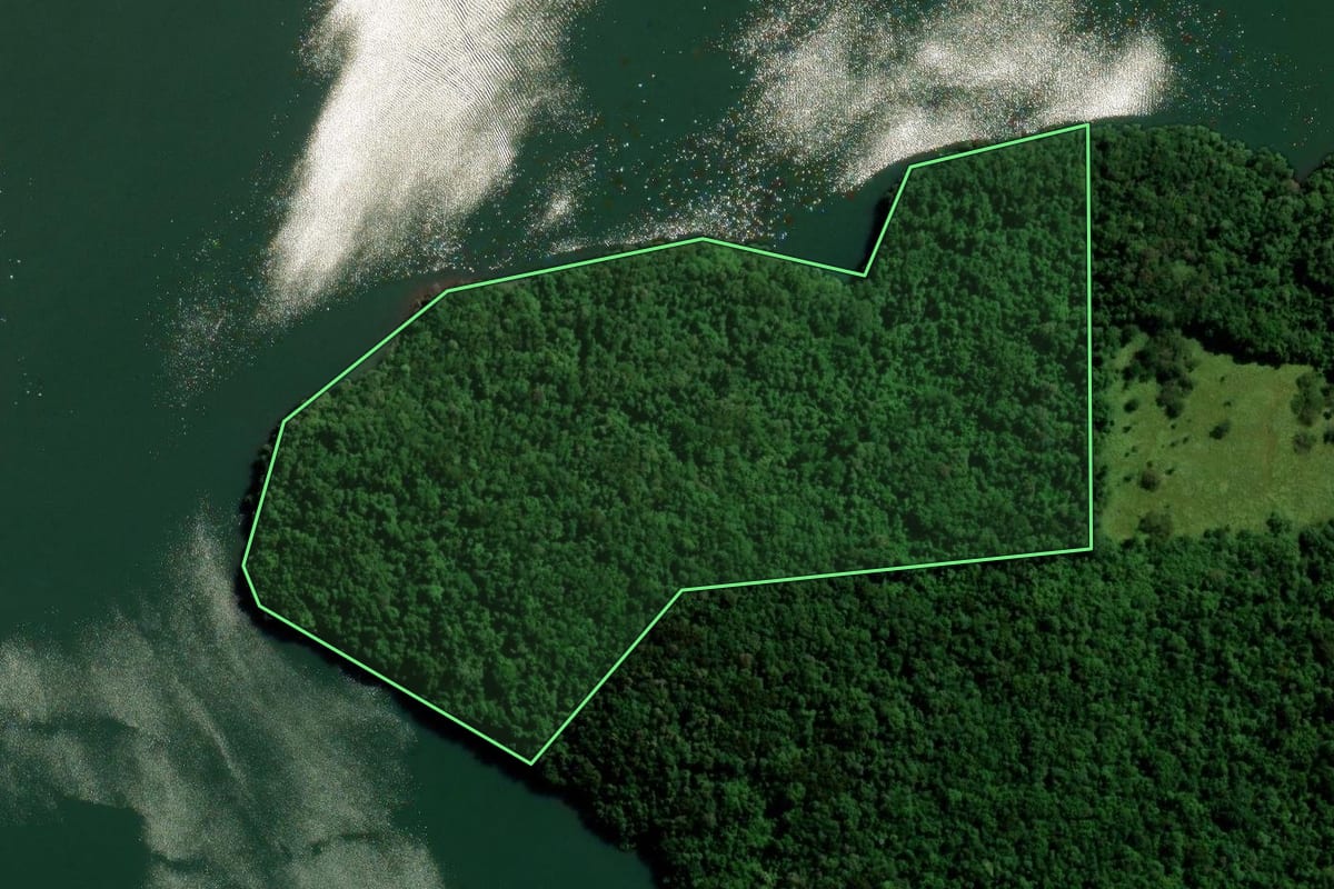 Imagem de satélite do imóvel rural em Três Barras do Paraná (PR), com o contorno declarado no CAR desenhado por cima.