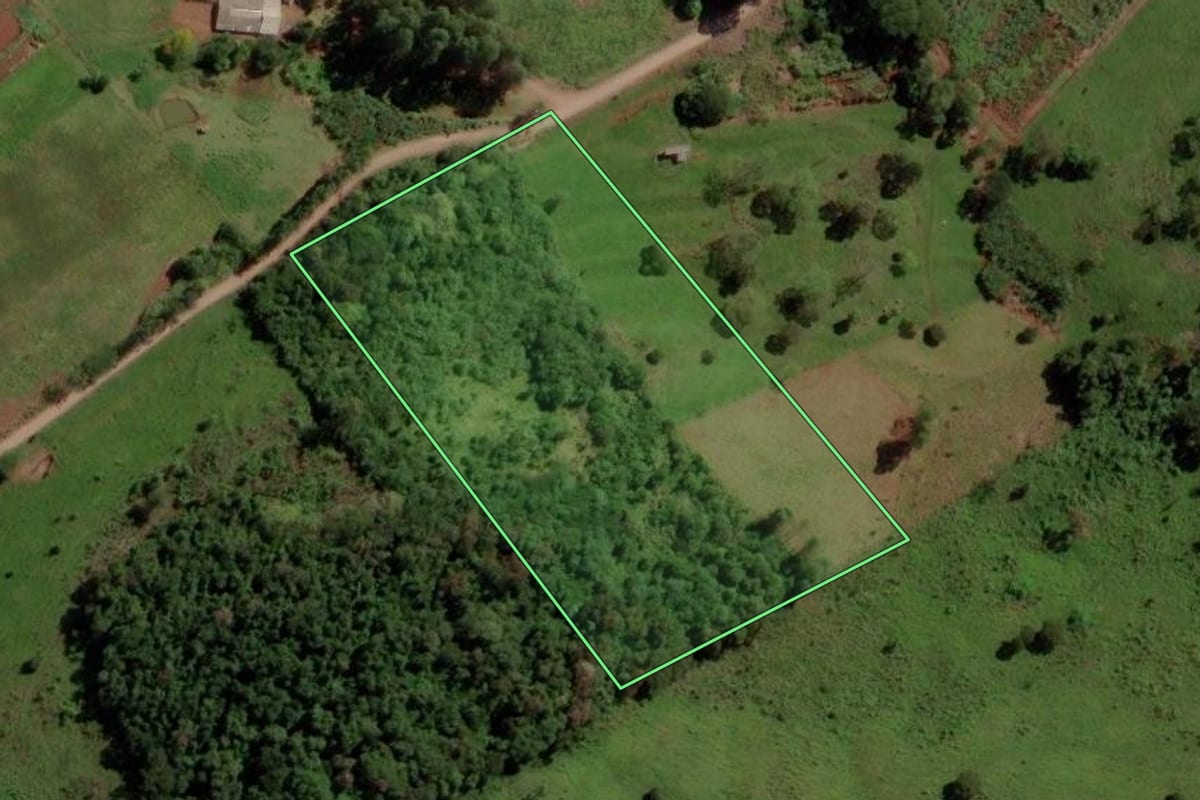 Imagem de satélite do imóvel rural em Três Barras do Paraná (PR), com o contorno declarado no CAR desenhado por cima.