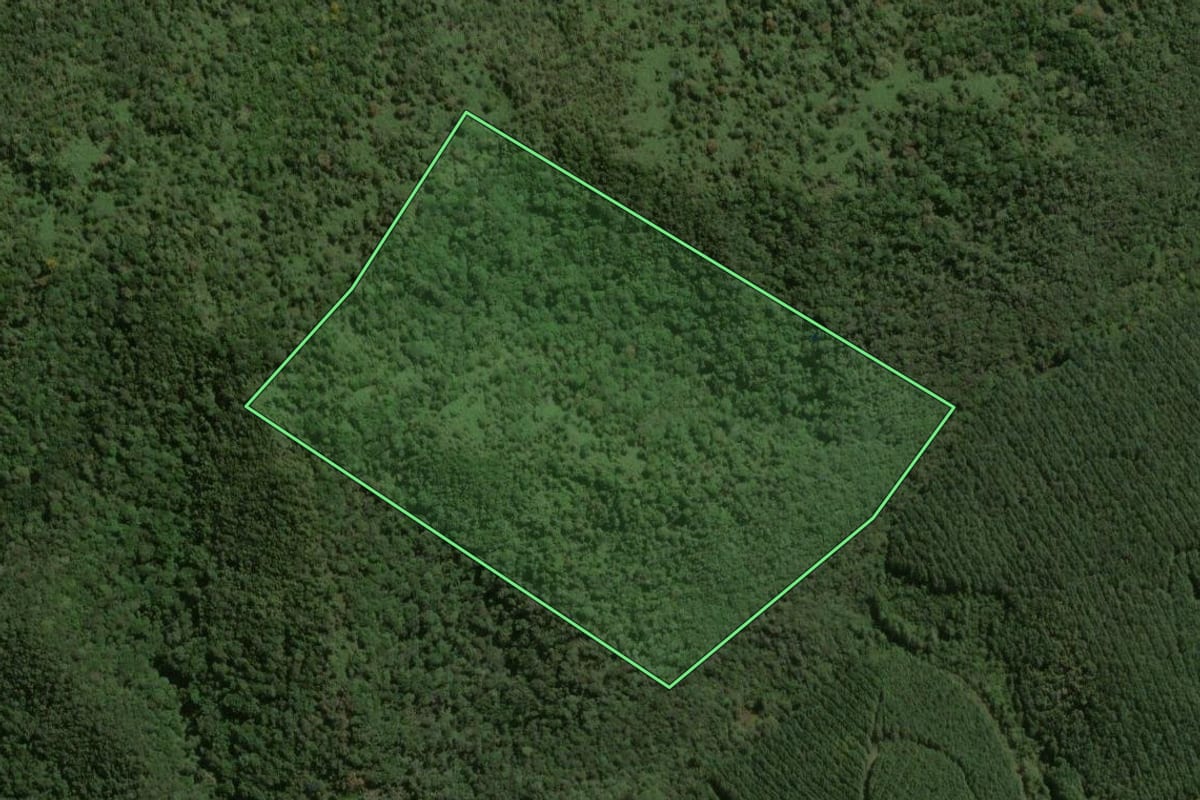 Imagem de satélite do imóvel rural em Tunas do Paraná (PR), com o contorno declarado no CAR desenhado por cima.
