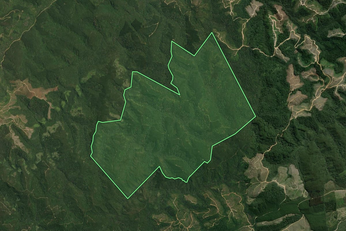Imagem de satélite do imóvel rural em Tunas do Paraná (PR), com o contorno declarado no CAR desenhado por cima.