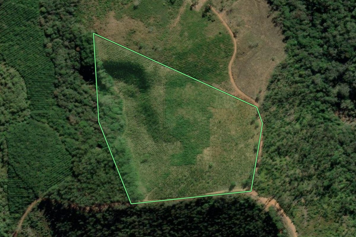 Imagem de satélite do imóvel rural em Tunas do Paraná (PR), com o contorno declarado no CAR desenhado por cima.