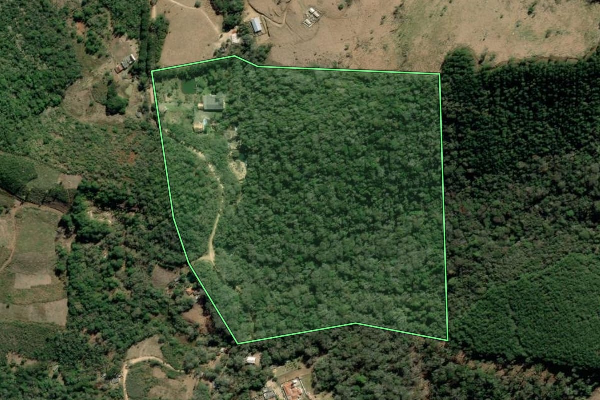 Imagem de satélite do imóvel rural em Tunas do Paraná (PR), com o contorno declarado no CAR desenhado por cima.
