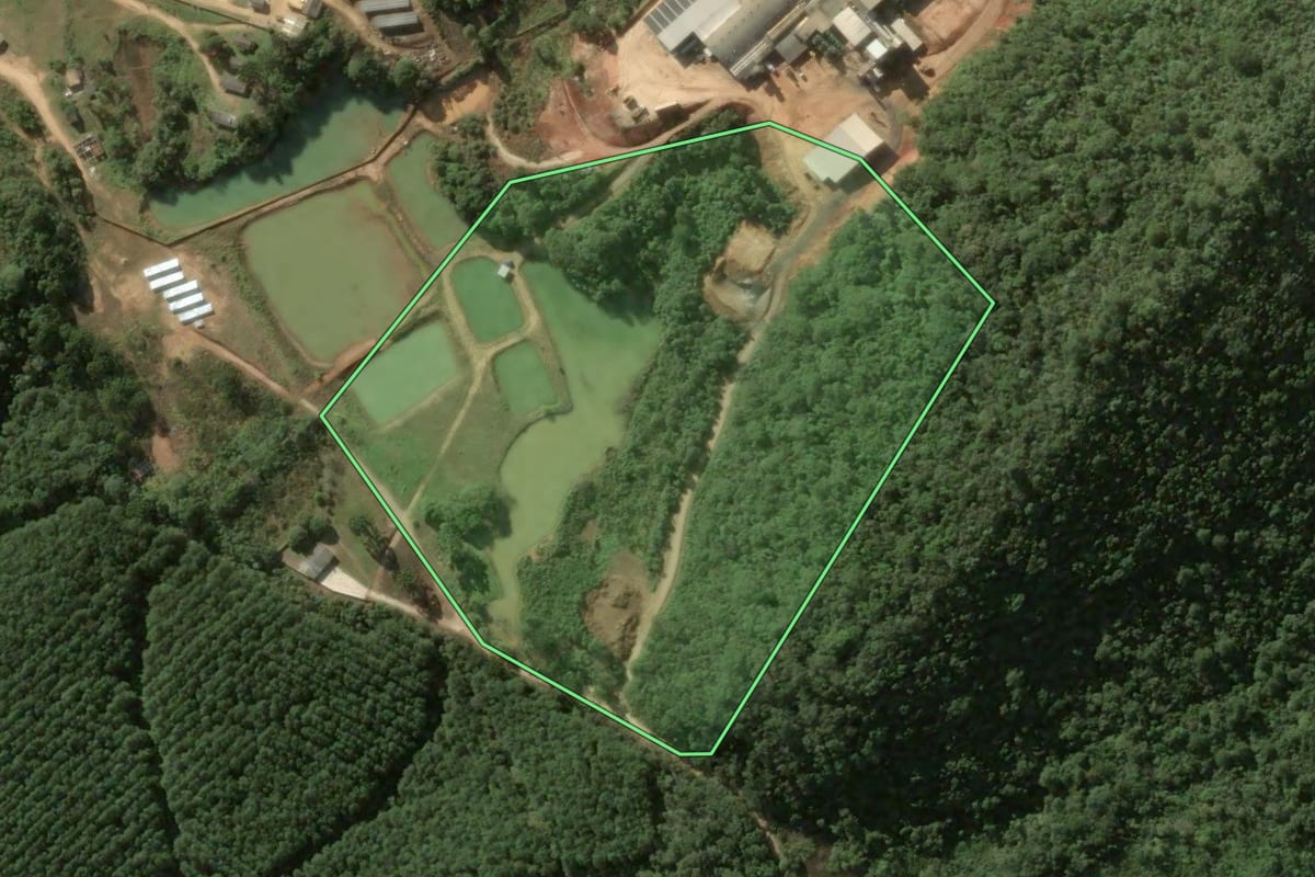 Imagem de satélite do imóvel rural em Tunas do Paraná (PR), com o contorno declarado no CAR desenhado por cima.