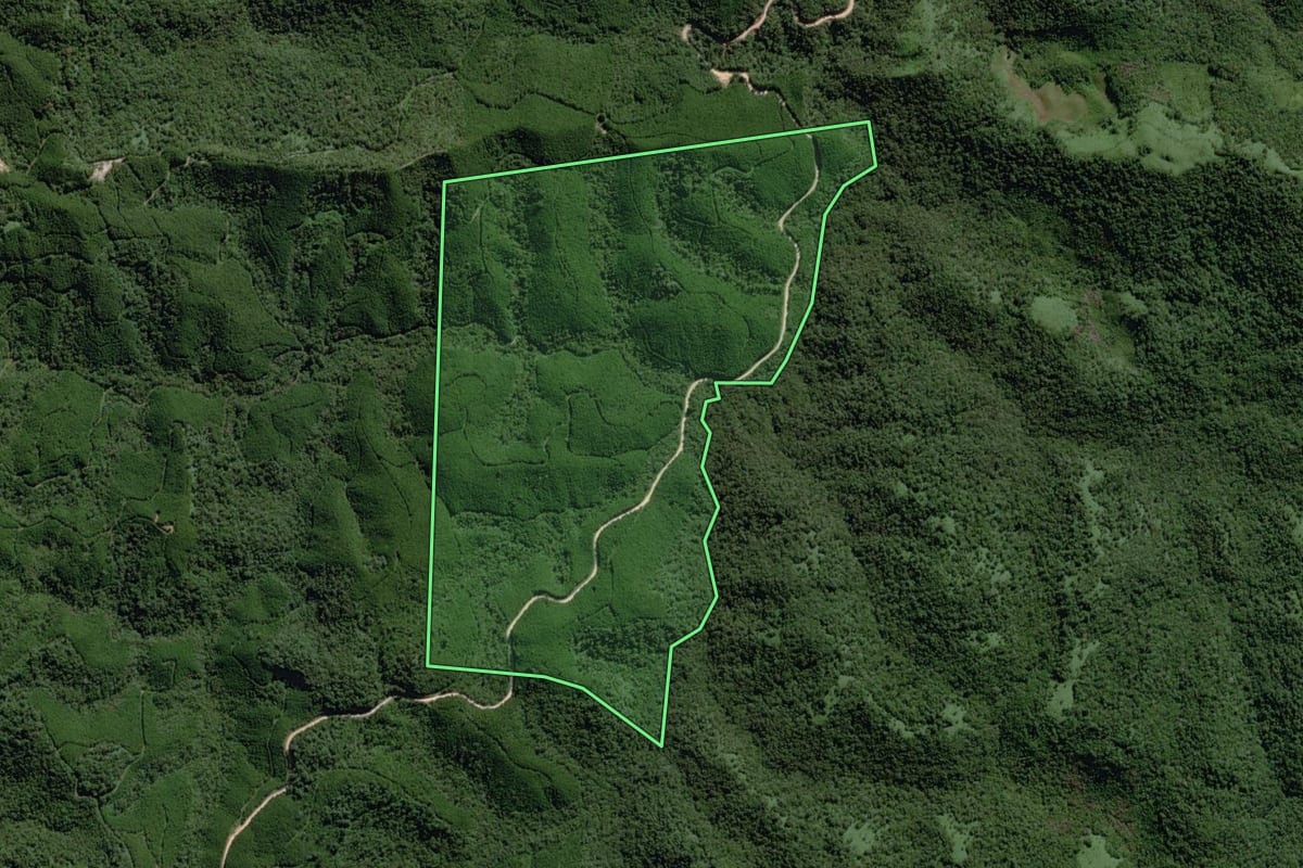 Imagem de satélite do imóvel rural em Tunas do Paraná (PR), com o contorno declarado no CAR desenhado por cima.