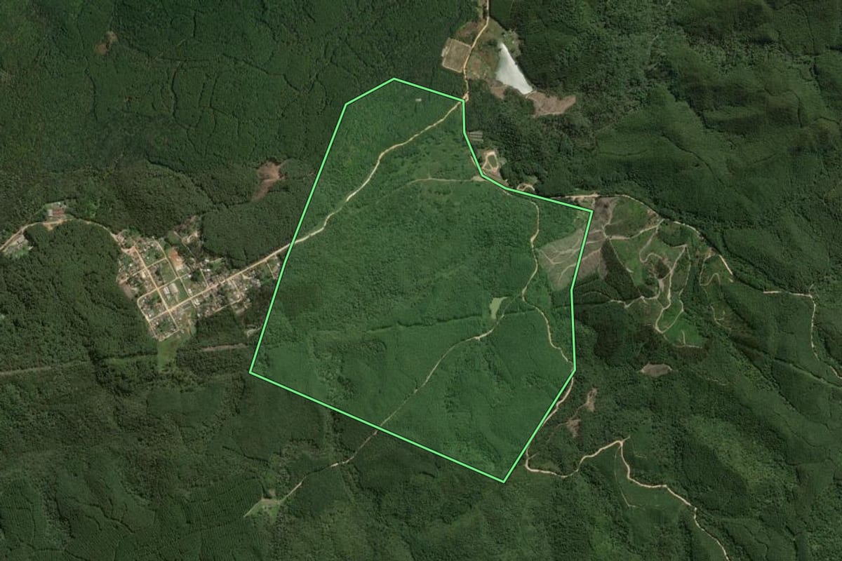Imagem de satélite do imóvel rural em Tunas do Paraná (PR), com o contorno declarado no CAR desenhado por cima.