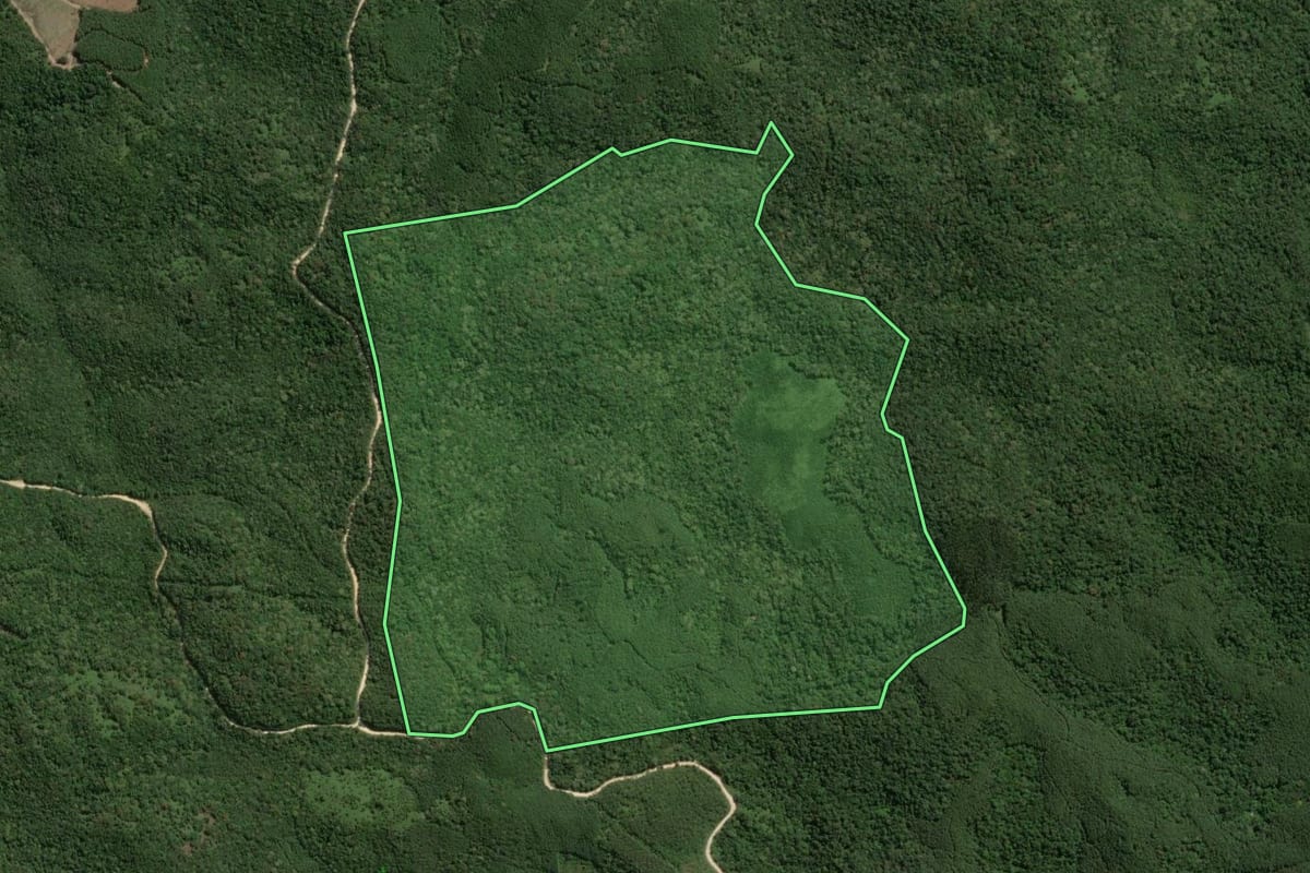 Imagem de satélite do imóvel rural em Tunas do Paraná (PR), com o contorno declarado no CAR desenhado por cima.