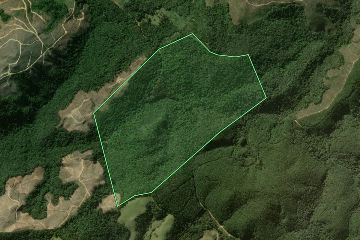 Imagem de satélite do imóvel rural em Tunas do Paraná (PR), com o contorno declarado no CAR desenhado por cima.