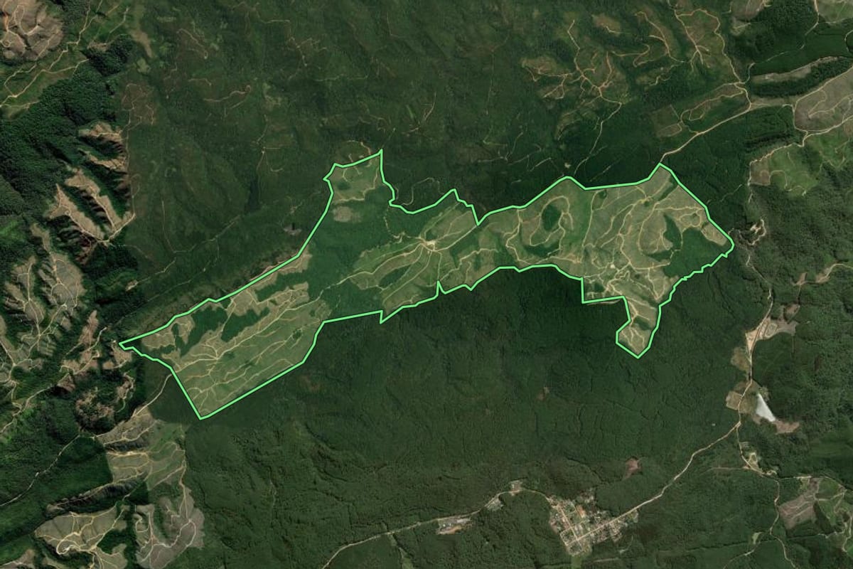 Imagem de satélite do imóvel rural em Tunas do Paraná (PR), com o contorno declarado no CAR desenhado por cima.