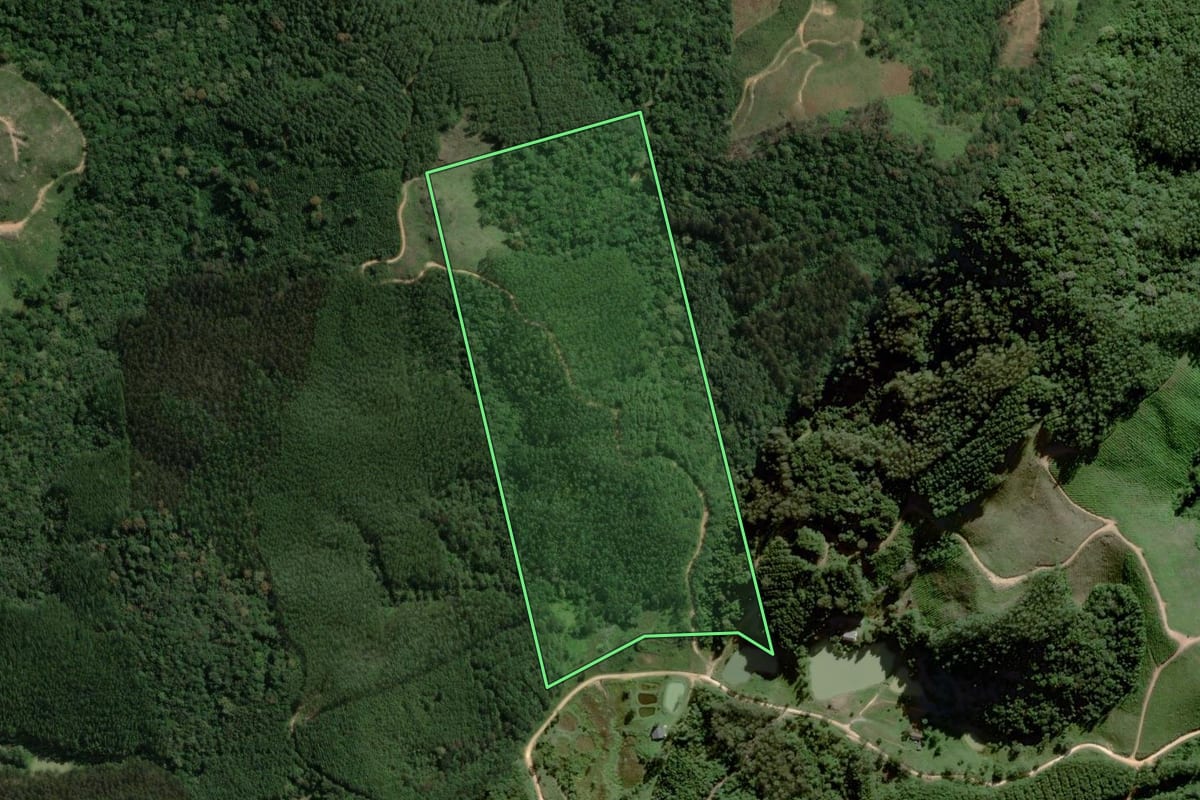 Imagem de satélite do imóvel rural em Tunas do Paraná (PR), com o contorno declarado no CAR desenhado por cima.