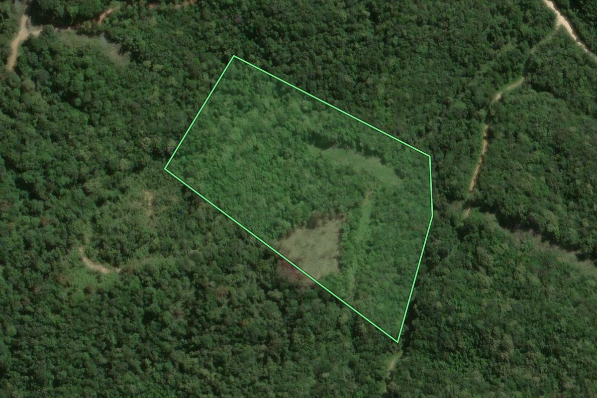 Imagem de satélite do imóvel rural em Tunas do Paraná (PR), com o contorno declarado no CAR desenhado por cima.