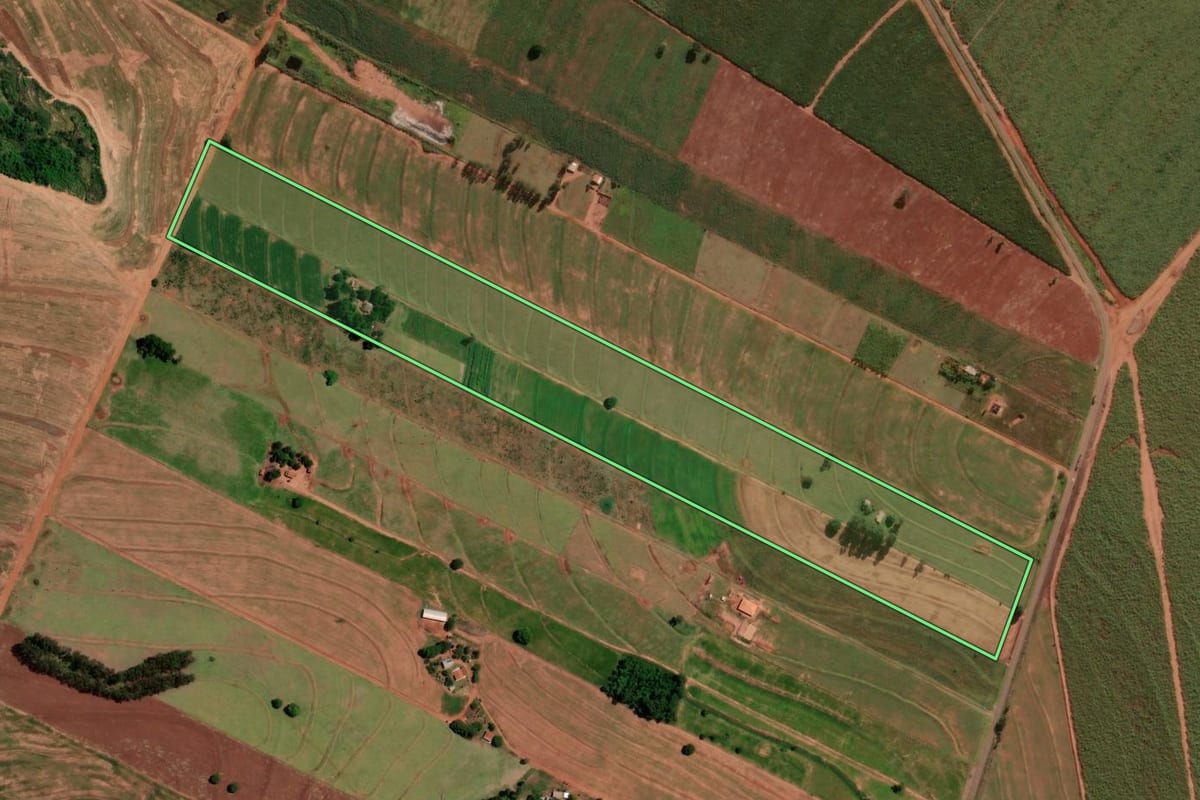 Imagem de satélite do imóvel rural em Tuneiras do Oeste (PR), com o contorno declarado no CAR desenhado por cima.