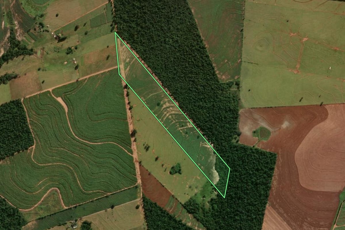 Imagem de satélite do imóvel rural em Tuneiras do Oeste (PR), com o contorno declarado no CAR desenhado por cima.