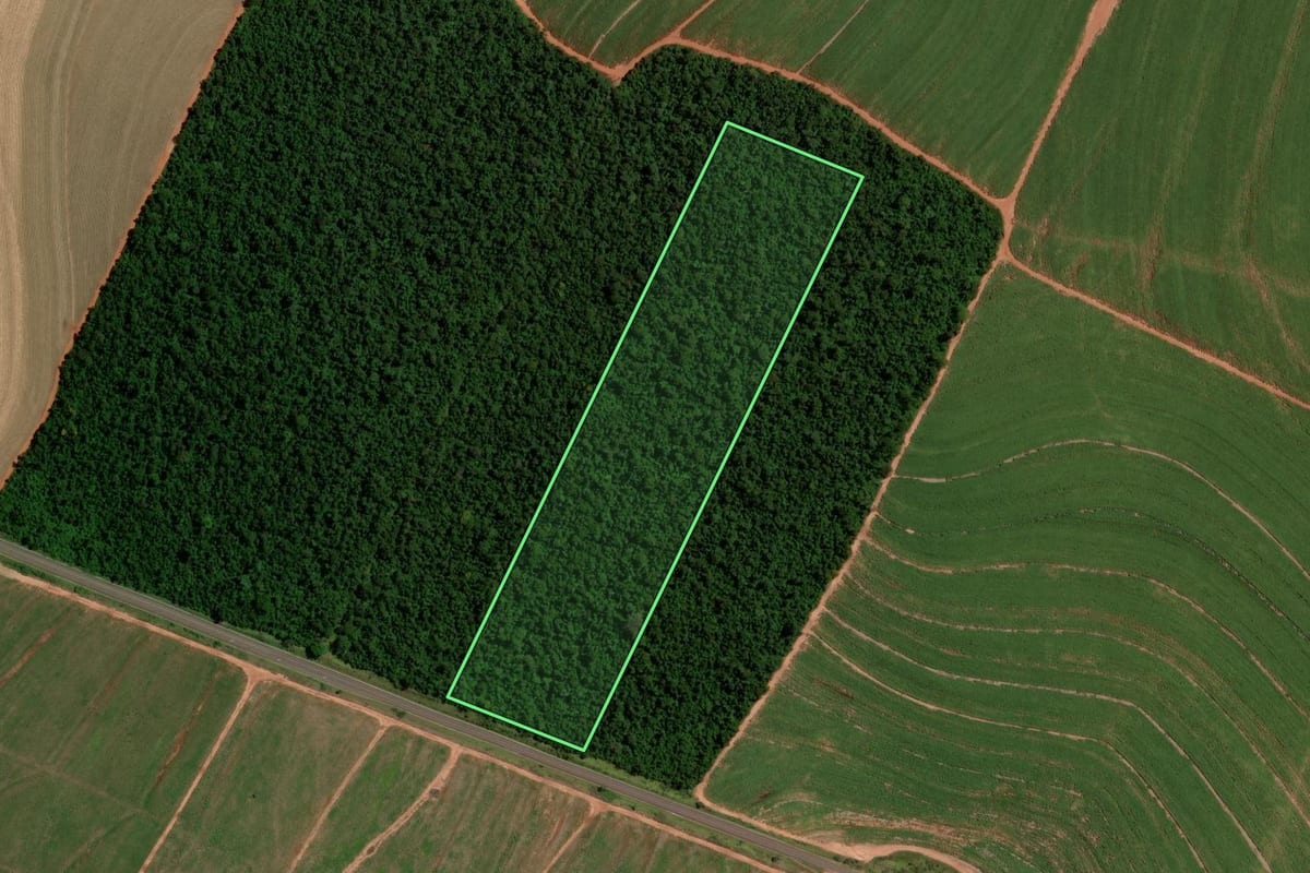 Imagem de satélite do imóvel rural em Tuneiras do Oeste (PR), com o contorno declarado no CAR desenhado por cima.