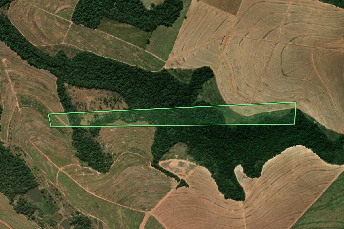 Imagem de satélite do imóvel rural em Tuneiras do Oeste (PR), com o contorno declarado no CAR desenhado por cima.