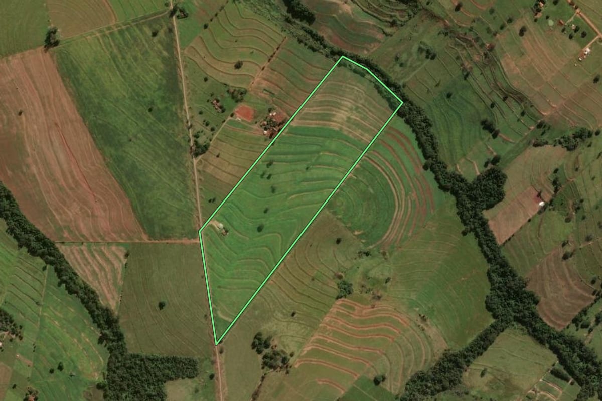 Imagem de satélite do imóvel rural em Tuneiras do Oeste (PR), com o contorno declarado no CAR desenhado por cima.