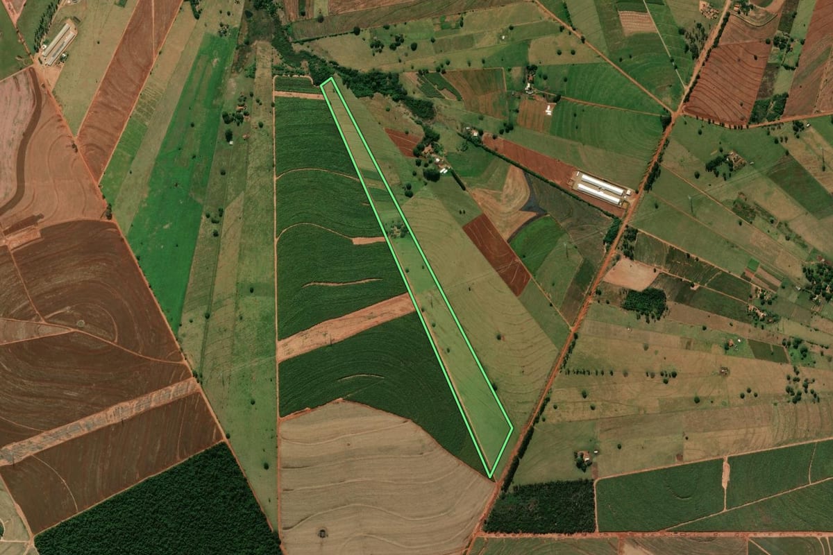 Imagem de satélite do imóvel rural em Tuneiras do Oeste (PR), com o contorno declarado no CAR desenhado por cima.