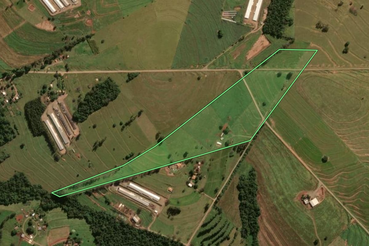 Imagem de satélite do imóvel rural em Tuneiras do Oeste (PR), com o contorno declarado no CAR desenhado por cima.