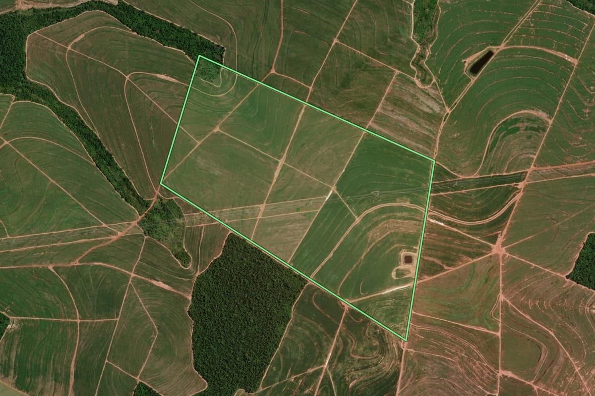 Imagem de satélite do imóvel rural em Tuneiras do Oeste (PR), com o contorno declarado no CAR desenhado por cima.