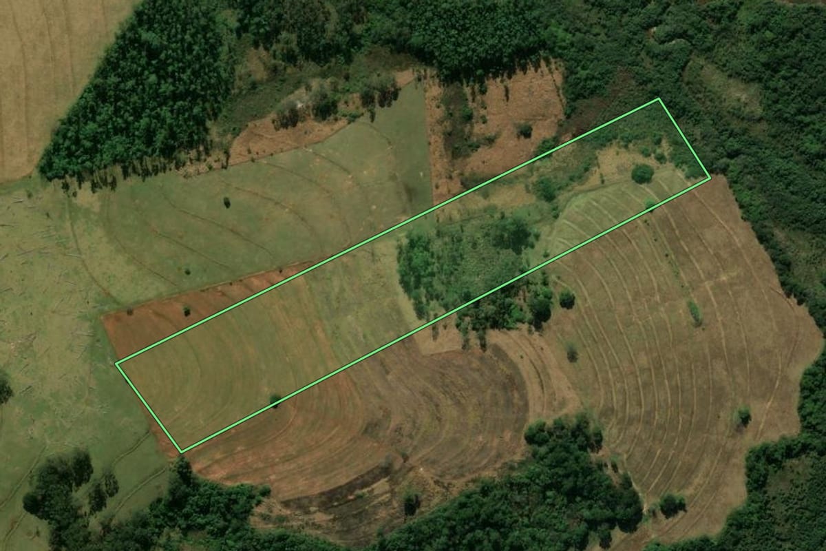 Imagem de satélite do imóvel rural em Tuneiras do Oeste (PR), com o contorno declarado no CAR desenhado por cima.