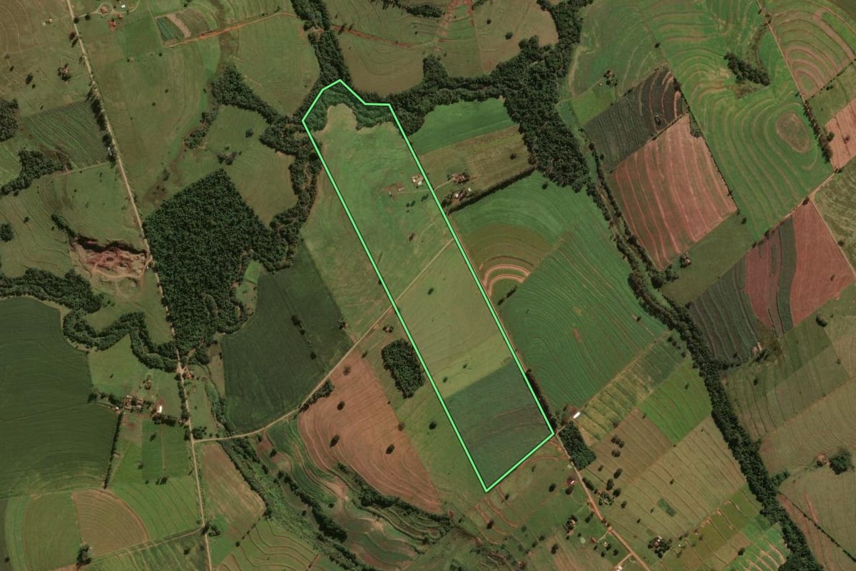 Imagem de satélite do imóvel rural em Tuneiras do Oeste (PR), com o contorno declarado no CAR desenhado por cima.