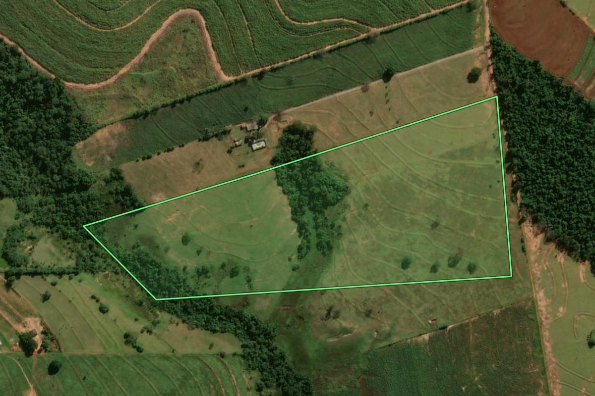 Imagem de satélite do imóvel rural em Tuneiras do Oeste (PR), com o contorno declarado no CAR desenhado por cima.