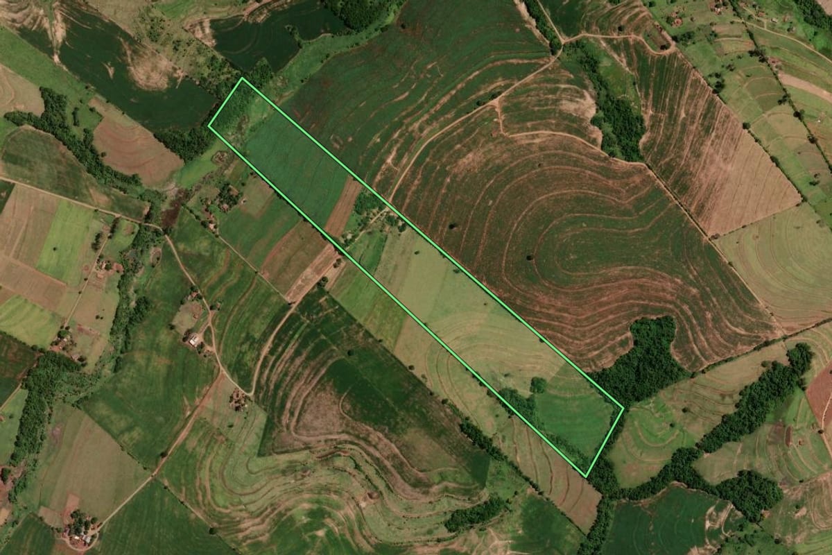 Imagem de satélite do imóvel rural em Tuneiras do Oeste (PR), com o contorno declarado no CAR desenhado por cima.