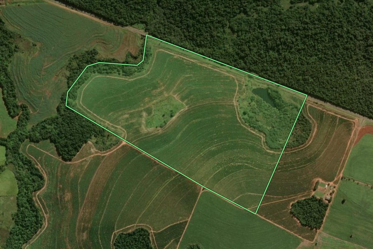 Imagem de satélite do imóvel rural em Tuneiras do Oeste (PR), com o contorno declarado no CAR desenhado por cima.