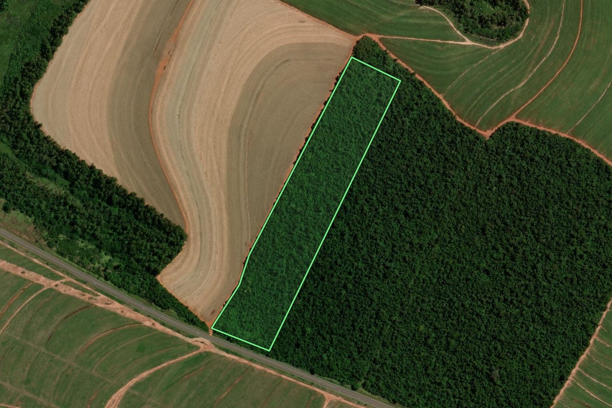 Imagem de satélite do imóvel rural em Tuneiras do Oeste (PR), com o contorno declarado no CAR desenhado por cima.