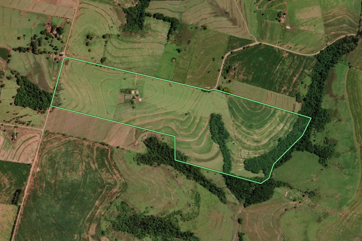 Imagem de satélite do imóvel rural em Tuneiras do Oeste (PR), com o contorno declarado no CAR desenhado por cima.