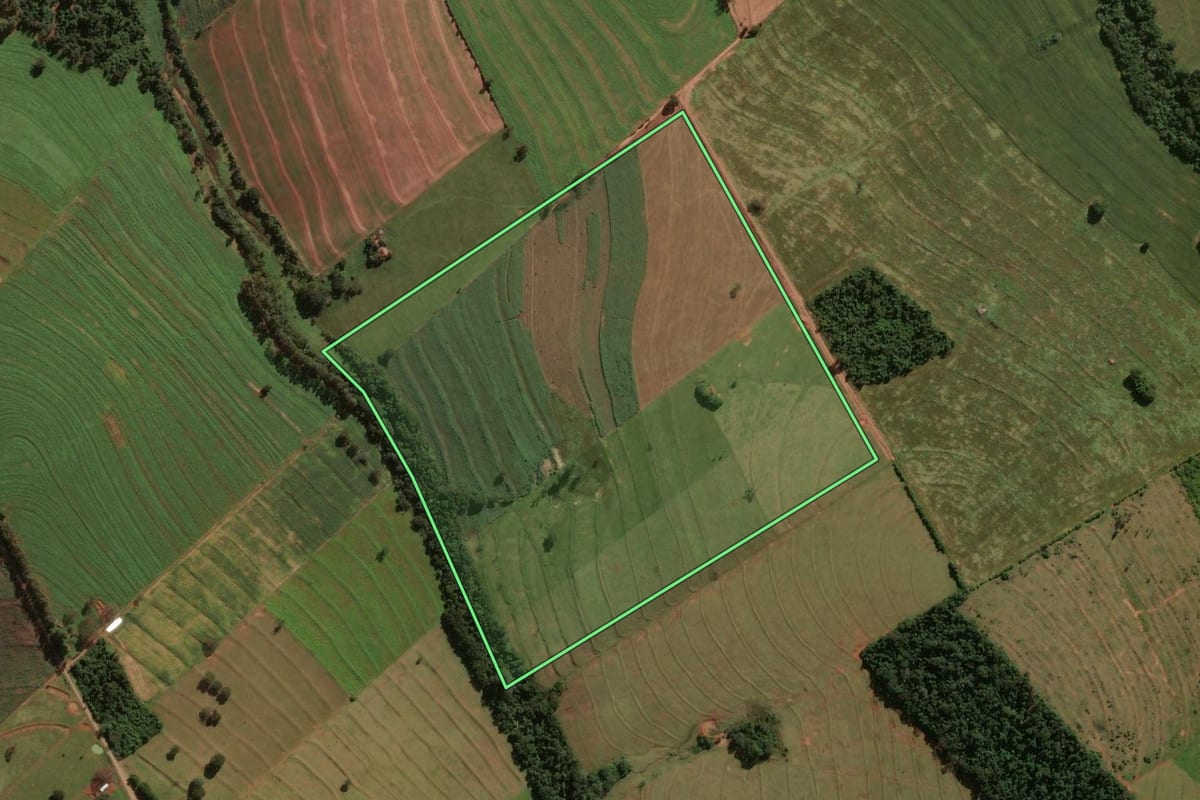 Imagem de satélite do imóvel rural em Tuneiras do Oeste (PR), com o contorno declarado no CAR desenhado por cima.