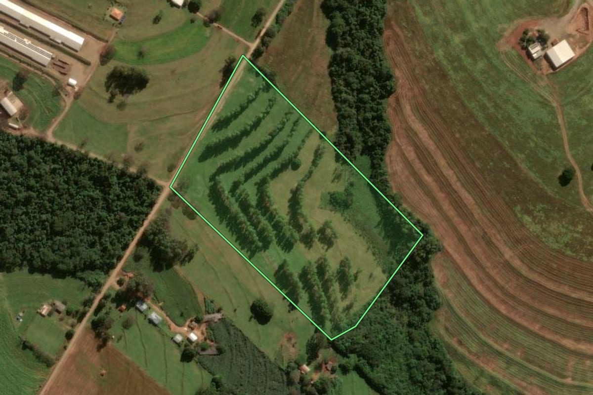 Imagem de satélite do imóvel rural em Tuneiras do Oeste (PR), com o contorno declarado no CAR desenhado por cima.