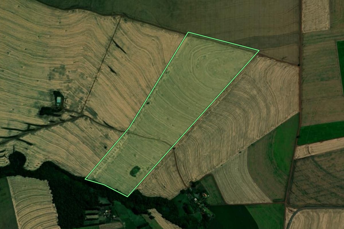 Imagem de satélite do imóvel rural em Tupãssi (PR), com o contorno declarado no CAR desenhado por cima.