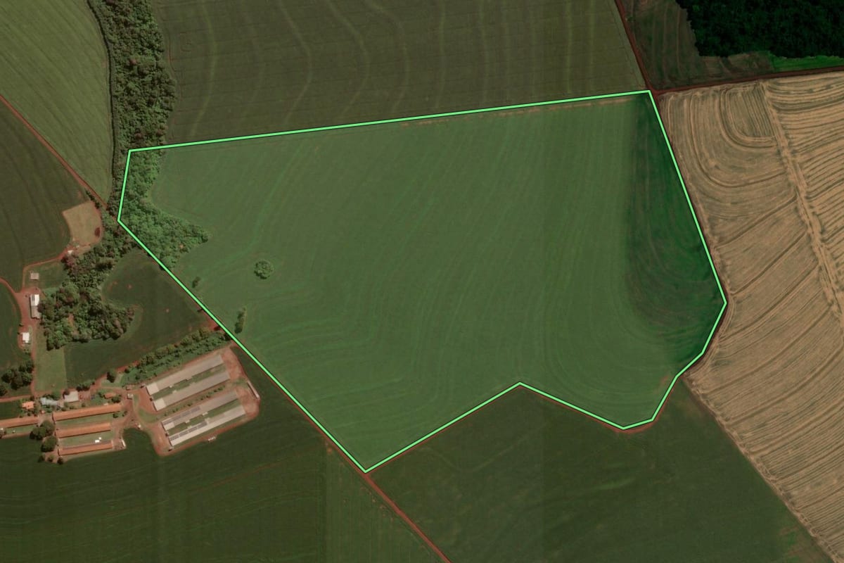 Imagem de satélite do imóvel rural em Tupãssi (PR), com o contorno declarado no CAR desenhado por cima.