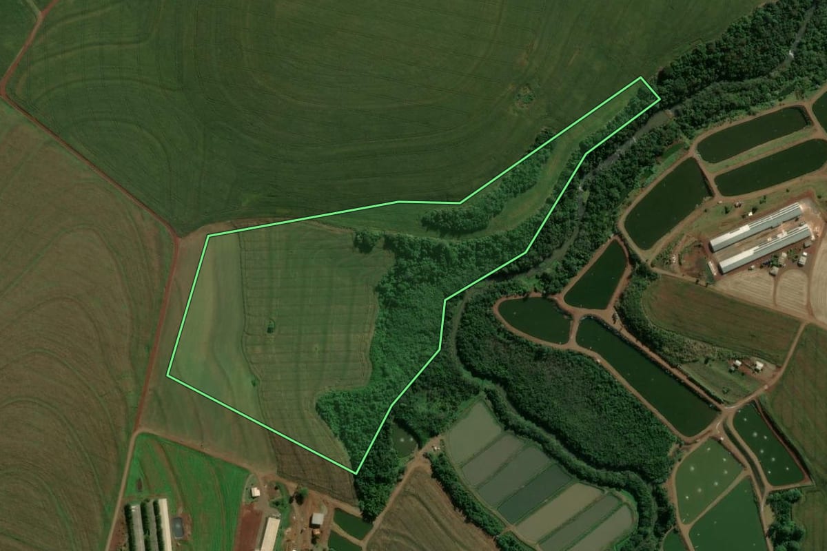Imagem de satélite do imóvel rural em Assis Chateaubriand (PR), com o contorno declarado no CAR desenhado por cima.